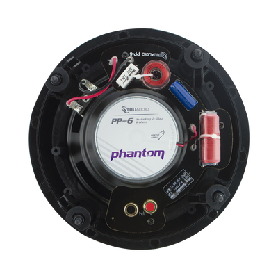 Altavoz de Techo TruAudio de 2 Vías, Tweeter Giratorio, 5-90 Watts.