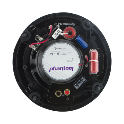 Altavoz de Techo TruAudio de 2 Vías, Tweeter Giratorio, 5-120 Watts.